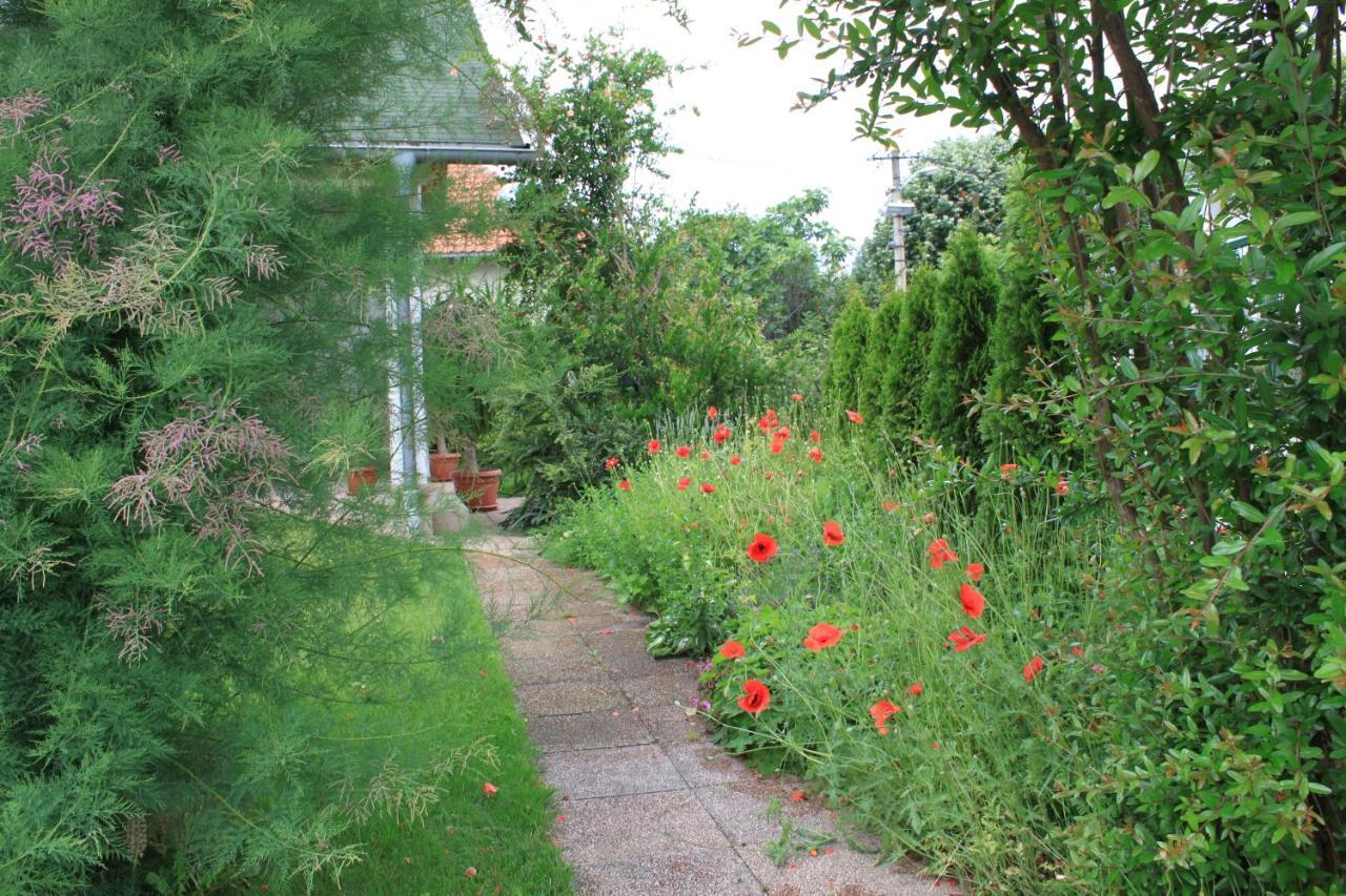 Boulevard Garden House - Free And Save Parking In The Locked Yard Ćuprija エクステリア 写真