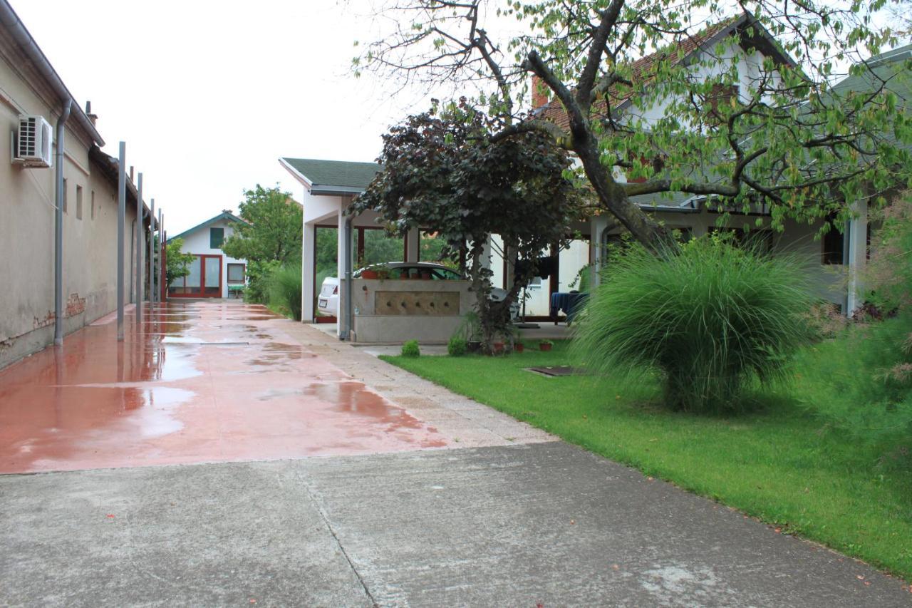 Boulevard Garden House - Free And Save Parking In The Locked Yard Ćuprija エクステリア 写真